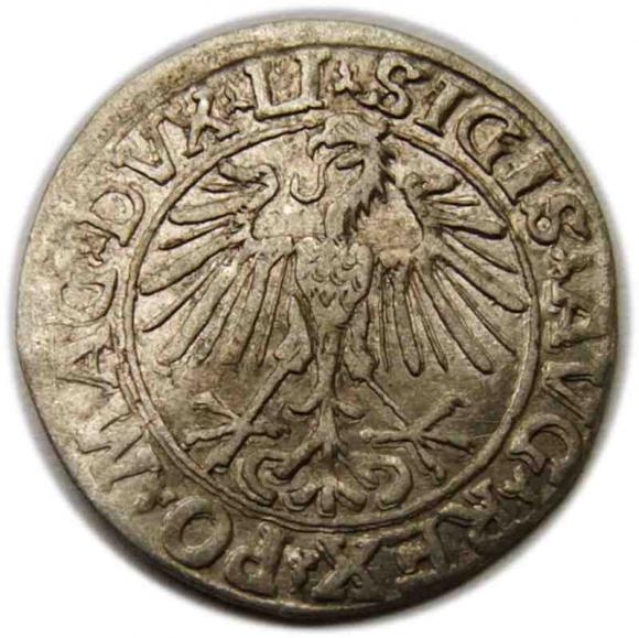 Półgrosz 1548 Zygmunt II August Wilno (2)