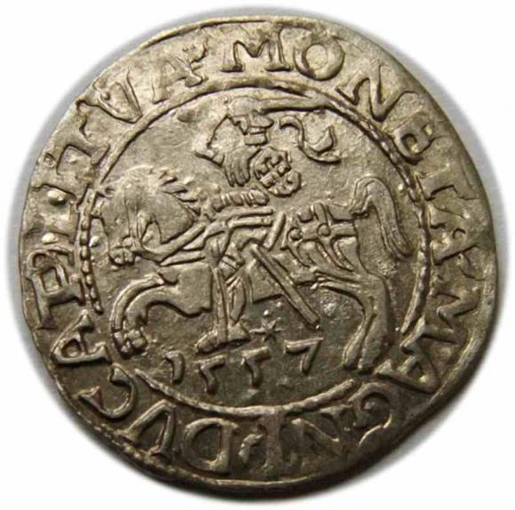 Półgrosz 1557 Zygmunt II August Wilno (1)