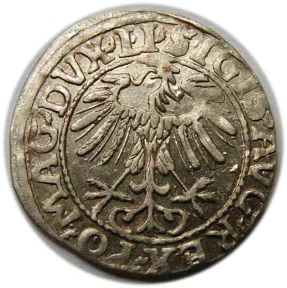 Półgrosz 1557 Zygmunt II August Wilno (2)