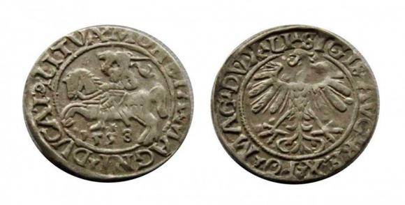 Półgrosz 1558 Zygmunt II August Wilno (1)