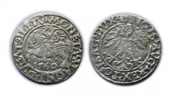 Półgrosz 1560 Zygmunt II August Wilno (1)