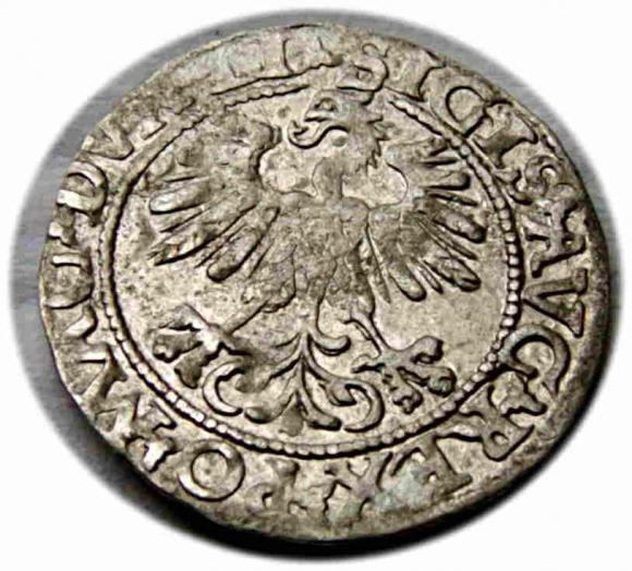 Półgrosz 1560 Zygmunt II August Wilno (2)