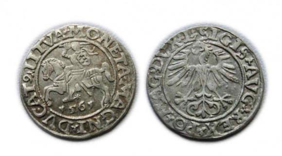 Półgrosz 1561 Zygmunt II August Wilno (1)