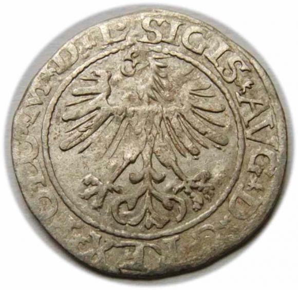 Półgrosz 1564 Zygmunt II August Wilno (1)