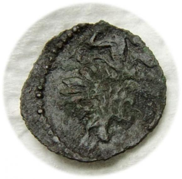 Szerf 1592 Ernest Ludwik Wołogowski Księstwo Wołogowskie (2)