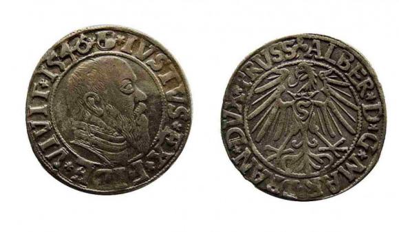 Grosz pruski 1546 Albrecht Hohenzollern Księstwo Pruskie (1)