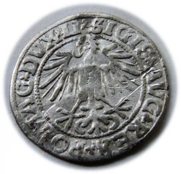 Półgrosz 1549 Zygmunt II August Wilno (2)