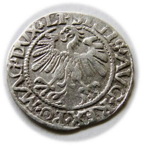 Półgrosz 1559 Zygmunt II August Wilno (2)