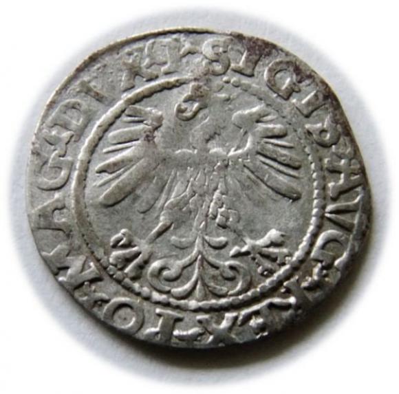 Półgrosz 1560 Zygmunt II August Wilno (2)