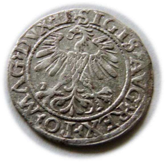 Półgrosz 1560 Zygmunt II August Wilno (2)