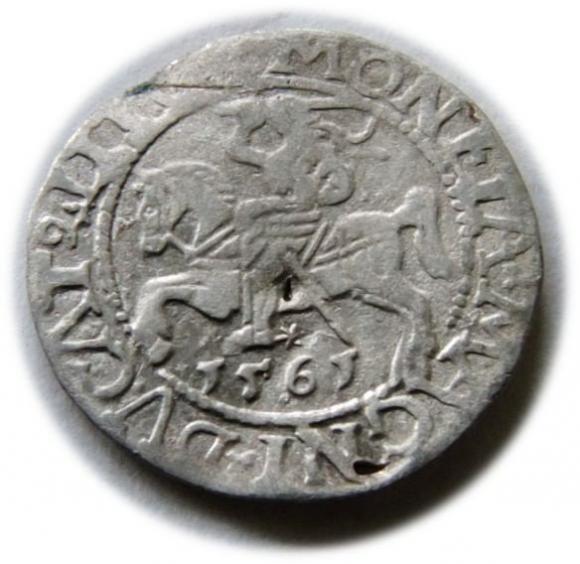 Półgrosz 1561 Zygmunt II August Wilno (1)