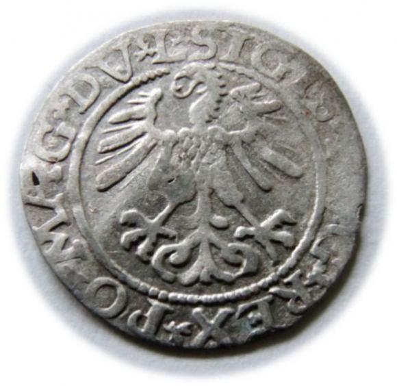 Półgrosz 1561 Zygmunt II August Wilno (2)