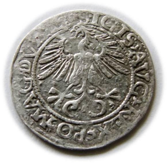 Półgrosz 1561 Zygmunt II August Wilno (2)