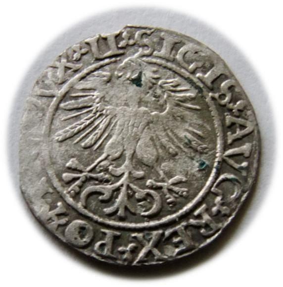 Półgrosz 1561 Zygmunt II August Wilno (2)