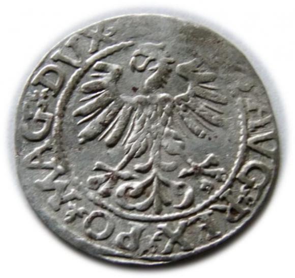 Półgrosz 1561 Zygmunt II August Wilno (2)