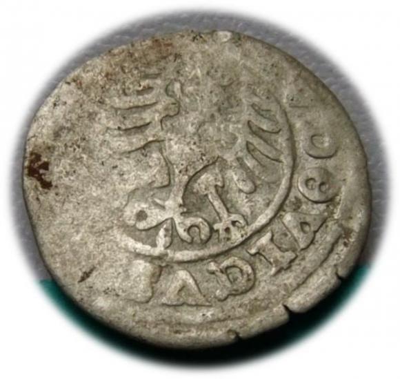 Półgrosz Ludwik I Jagiellończyk Świdnica (2)