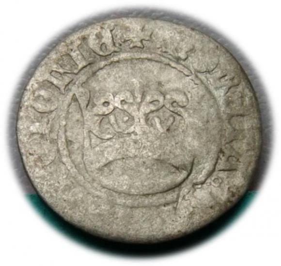 Półgrosz Aleksander Jagiellończyk Kraków (1)