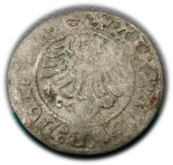 Półgrosz Aleksander Jagiellończyk Kraków (2)