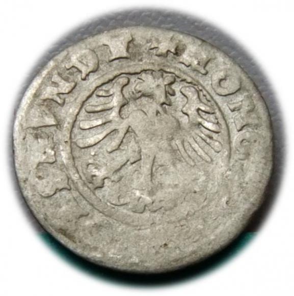 Półgrosz 1509 Zygmunt I Stary Kraków (2)