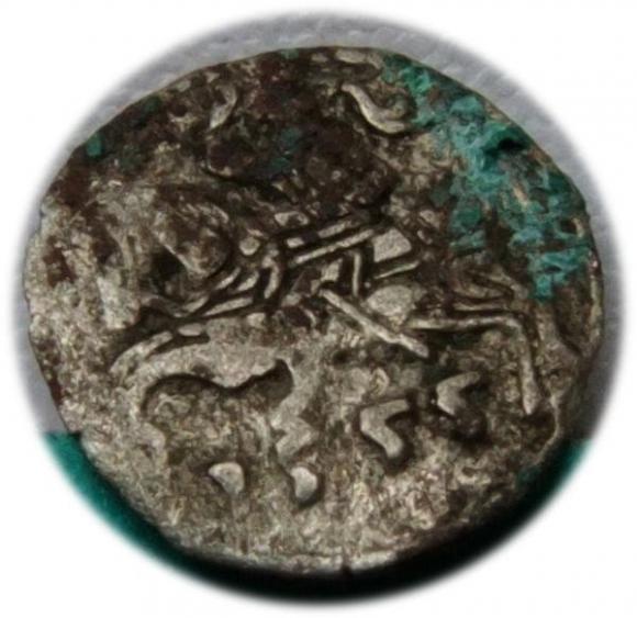 Denar 1555 Zygmunt II August Wilno (1)