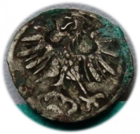 Denar 1555 Zygmunt II August Wilno (2)