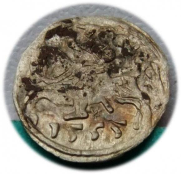 Denar 1555 Zygmunt II August Wilno (1)