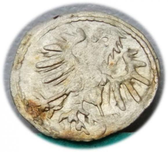 Denar 1555 Zygmunt II August Wilno (2)