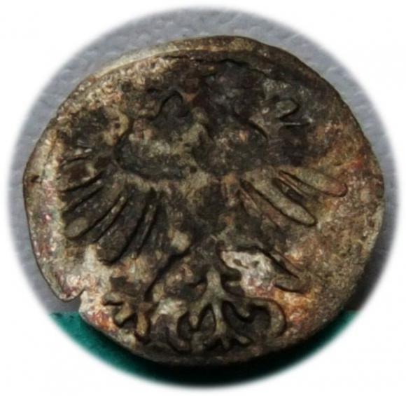 Denar 1555 Zygmunt II August Wilno (2)