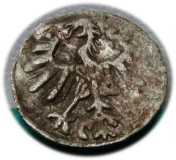 Denar 1555 Zygmunt II August Wilno (2)