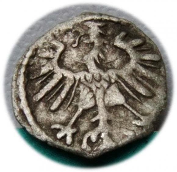 Denar 1555 Zygmunt II August Wilno (2)