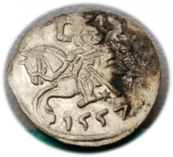 Denar 1557 Zygmunt II August Wilno (1)