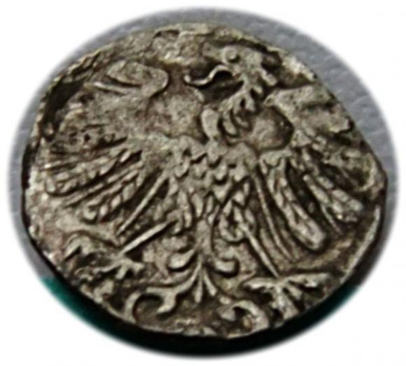 Denar 1558 Zygmunt II August Wilno (2)