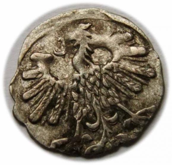 Denar 1559 Zygmunt II August Wilno (2)