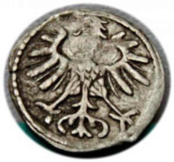 Denar 1555 Zygmunt II August Wilno (2)