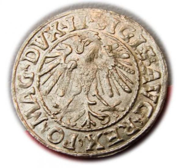 Półgrosz 1547 Zygmunt II August Wilno (2)