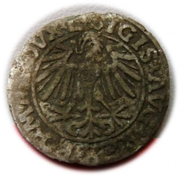 Półgrosz 1548 Zygmunt II August Wilno (2)