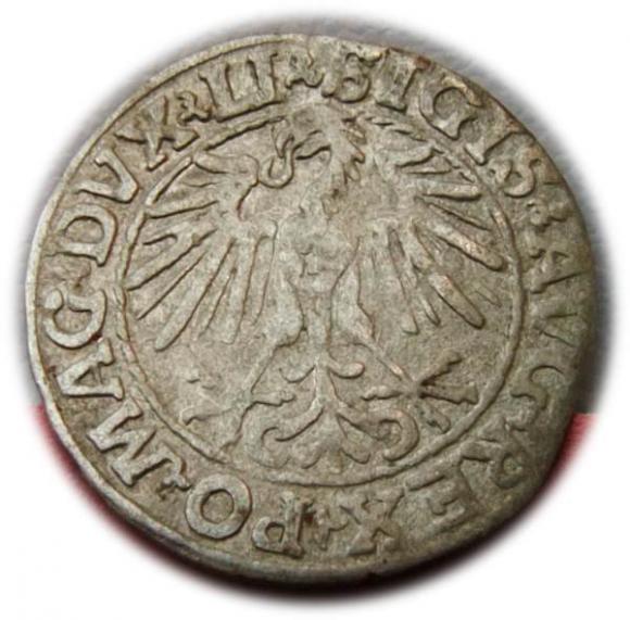 Półgrosz 1548 Zygmunt II August Wilno (2)