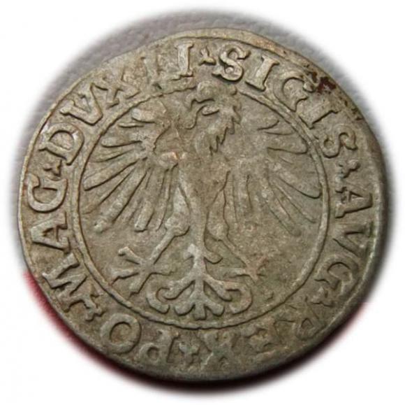 Półgrosz 1548 Zygmunt II August Wilno (2)