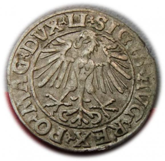 Półgrosz 1548 Zygmunt II August Wilno (2)