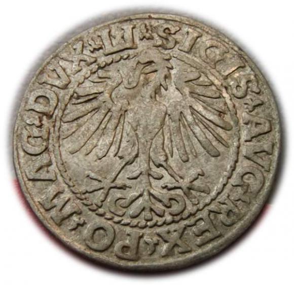 Półgrosz 1548 Zygmunt II August Wilno (2)