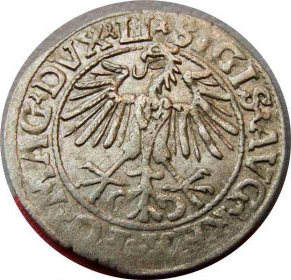 Półgrosz 1548 Zygmunt II August Wilno (2)