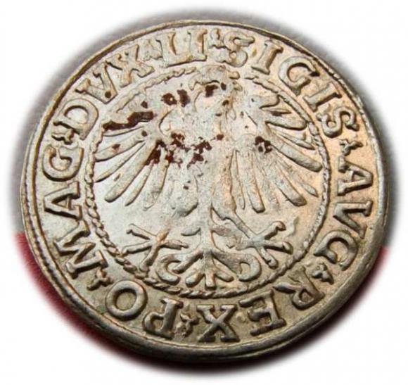 Półgrosz 1548 Zygmunt II August Wilno (2)