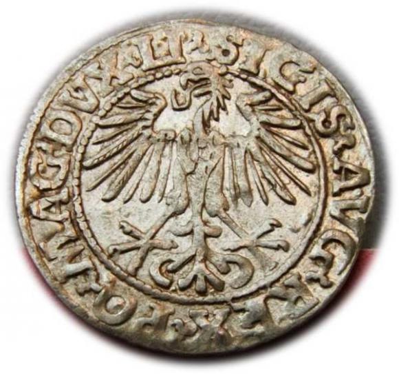 Półgrosz 1548 Zygmunt II August Wilno (2)