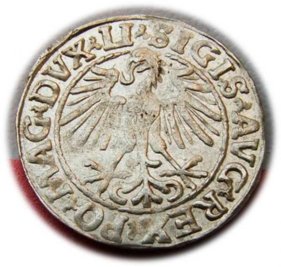 Półgrosz 1548 Zygmunt II August Wilno (2)