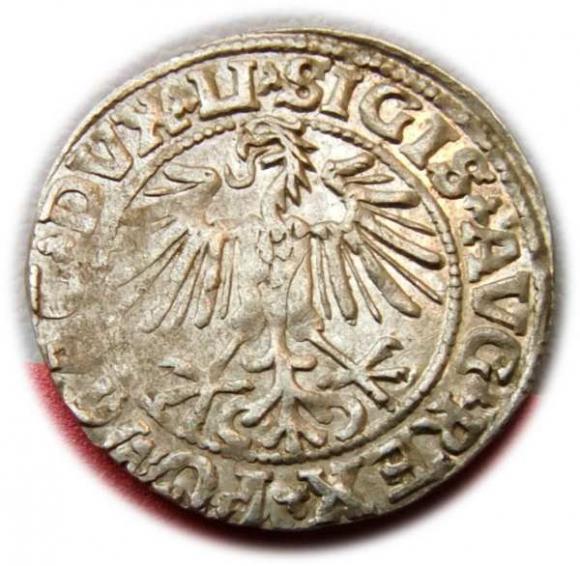 Półgrosz 1549 Zygmunt II August Wilno (2)