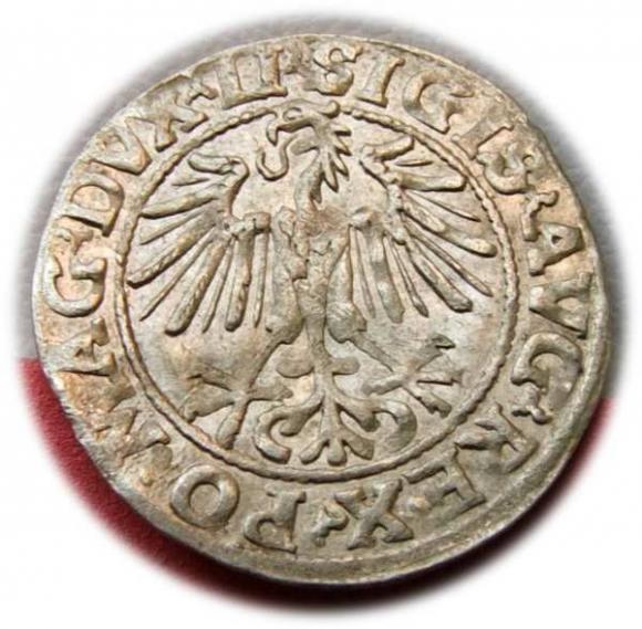 Półgrosz 1549 Zygmunt II August Wilno (2)