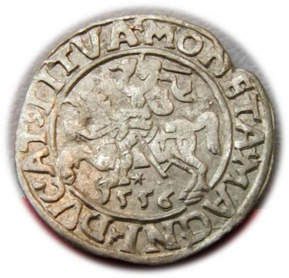 Półgrosz 1556 Zygmunt II August Wilno (1)