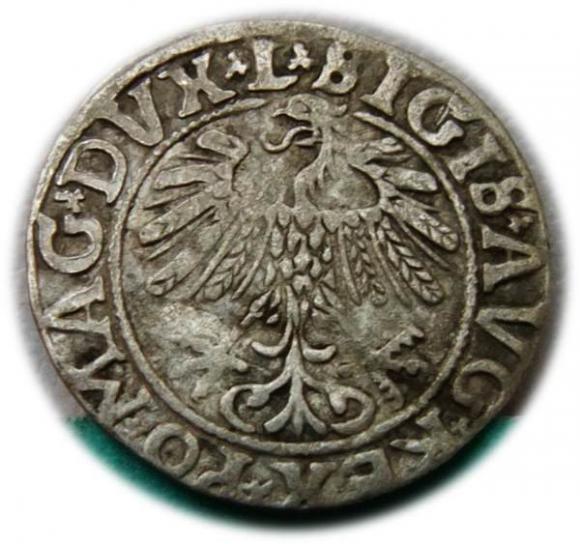 Półgrosz 1558 Zygmunt II August Wilno (2)