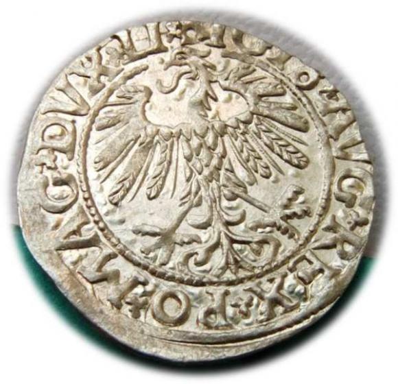 Półgrosz 1558 Zygmunt II August Wilno (2)