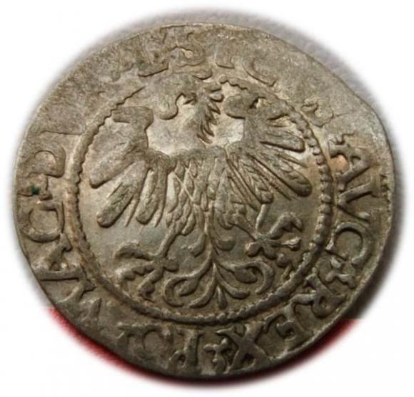 Półgrosz 1559 Zygmunt II August Wilno (2)